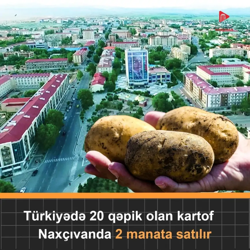 Türkiyədə 20 qəpik olan kartof Naxçıvanda iki manata satılır